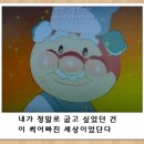 카드킹덤