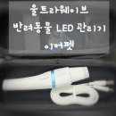 루루 반려견 | 간편하게 집에서 관리하는 울트라웨이브 이어펫, 반려동물 귀 염증 완화 찐후기