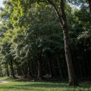 청청산업
