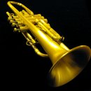 Harrelson 4-Valve Bb Modular trumpet 이미지