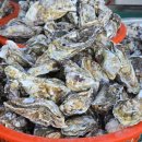 2024 천북 굴축제 이미지