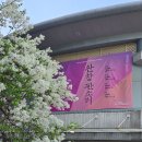 적벽가 | 관람 후기 판소리 완창 김금미 명창 적벽가 국립극장 하늘극장 국립창극단