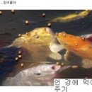 비엔나미용실 이미지