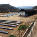 산아래 하우스 이미지