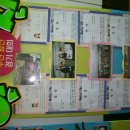 금양초등학교 이미지