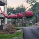 컴인하우스 이미지