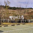 성읍리-10 이미지