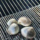 갯벌민박 이미지