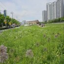 지식의 꽃밭 화장실 이미지