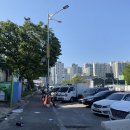 수산시장 | 가락시장 수산시장 참돔회 포장 후기 (수산동과 가락몰 비교)