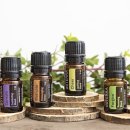 아로마테라피 이미지