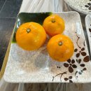 양동이 노래연습장 | [경남/통영]가성비 좋은 통영 반다찌 집 ! 목원반다찌 내돈내산 방문후기