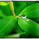 에브라임 이미지