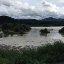 금호강9 이미지