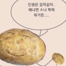 백청사 이미지
