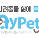 포시즌송도동물병원 네이버블로그