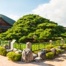 죽바위 | 청도여행(유등연지&amp;청도와인터널), 구석구석 사진모음.zip