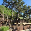 거창 항노화 힐링랜드 자연휴양림 이미지