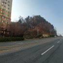 남구-85 네이버블로그