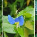 더존스터디학원 이미지