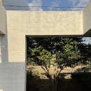 볼수록제주스테이 민박 | 제주 협재 [스테이낭] 가성비 독채펜션 에어비앤비 2박한 후기