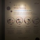 멜랑말랑 범계점 이미지