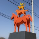 피터팬승마캠프 이미지