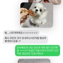 우리두리마켓