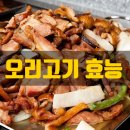 돈이랑오리 티스토리