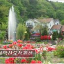 설악산오색펜션 | [양양 애견동반 펜션 ] 설악산오색펜션 친절함과 청결함 돋보여