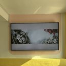 반월초등학교 이미지