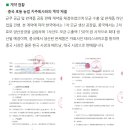 (주)테러스 이미지