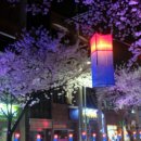 보랏빛향기 노래연습장 이미지