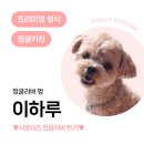 (11/15)반려동물 수제간식 댕치킨 | [강아지생식/반려동물생식] 정글키친 정글러버 15기 서포터즈 정글키친 생식 급여후기