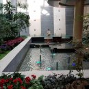 플레이오션(26) 이미지