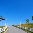 대건목장 이미지