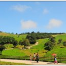 형제목장 이미지