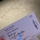 필그림스 | 여운이 오래 남는 공연, 필그림스 뮤직 콘서트 관람 후기
