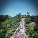 2017.06.13 진천 농다리 미르숲 트레킹 이미지