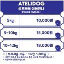 아틀리독 이미지