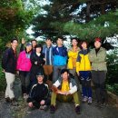 포리에이스 이미지