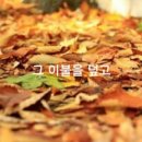 구름꽃이불