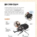 괴기파는집 이미지