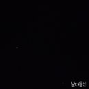 소나기분식