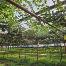 성산일출봉농업협동조합 농산물산지유통센터 이미지