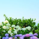 상몽농장2 이미지