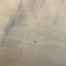 와우애견 | 포천 바우와우펜션 애견동반펜션 여름휴가 후기