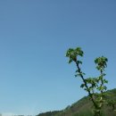 산골초가집 이미지