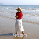 옹진슈퍼 - 시흥시 신흥마을4길 8 | 옹진슈퍼