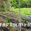 종지농장 이미지